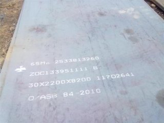 钢铁行业科技成果专题推介活动在辽宁鞍钢举行